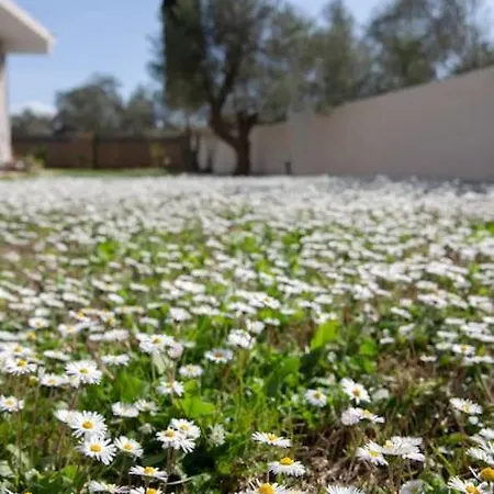 Gardiki Castle House *