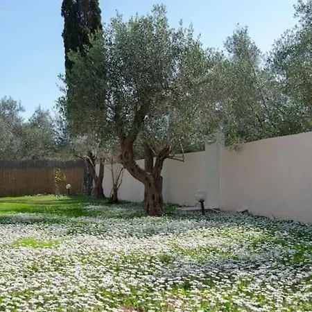 Gardiki Castle House *